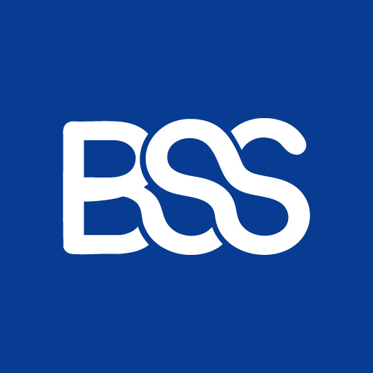 BSS Nop Store